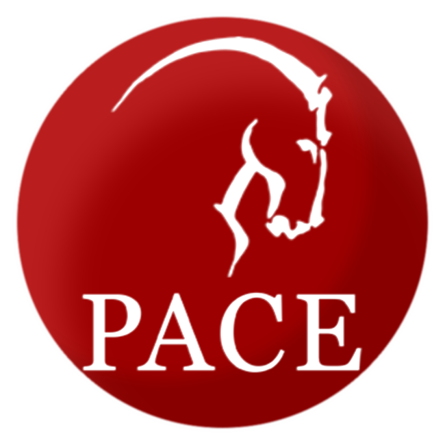 PACE International Academy logo
